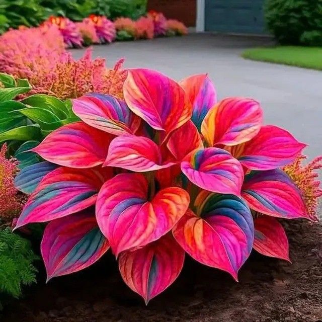 /698d6e982a64280009f89596/2026/03/13/product-img-69b3ca3f6f906dd9e877a686.jpg